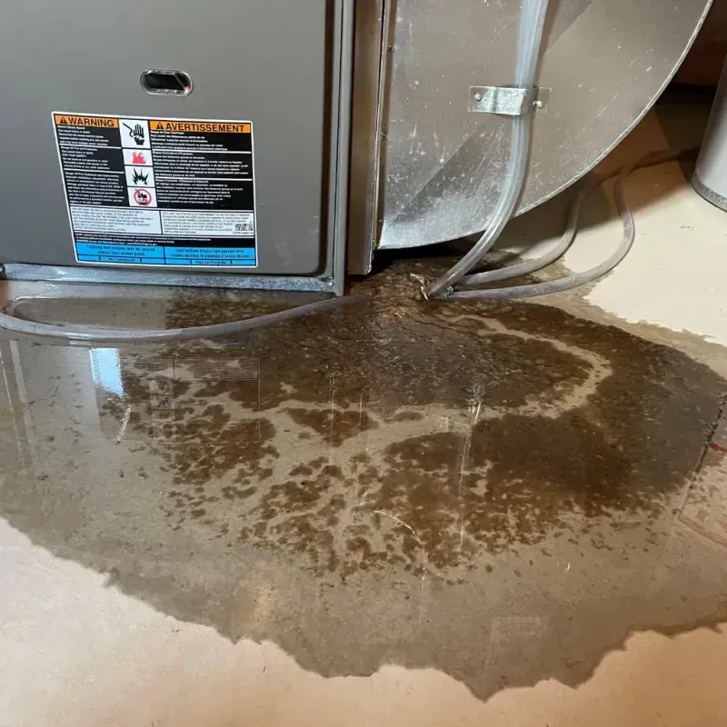 Appliance Leak Cleanup in Chapman, KS